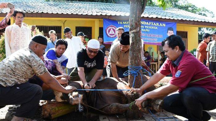 Walikota Depok Muhammad Idris memotong sendiri sapi kurbannya di Cilodong.