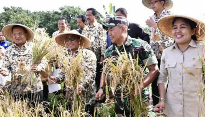 Walikota Depok bersama Kasdim 0508/Depok dan anggota DPRD Kota Depok melakukan panen beras hitam di Kecamatan Tapos.