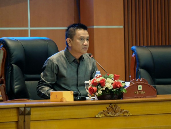 Ketua DPRD Kota Depok, Hendrik Tangke Allo.